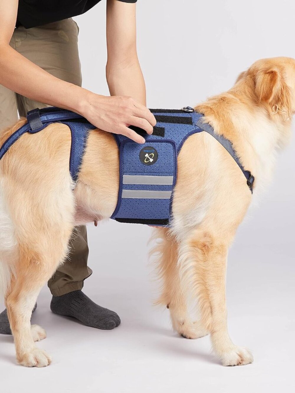 Coodeo Dog Back Brace for Dogs Arthritis, Pet Back Bracer for IVDD